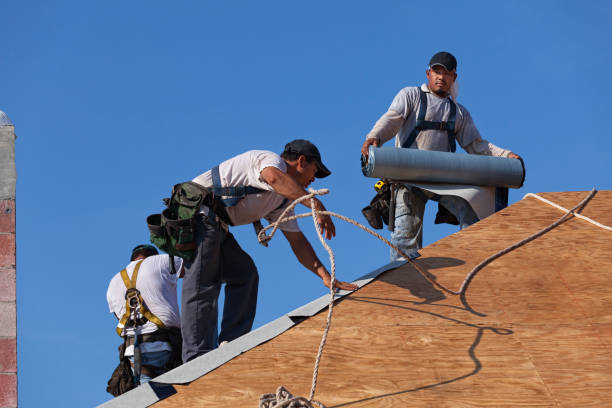 Best Metal Roofing Contractor  in Harlem, GA